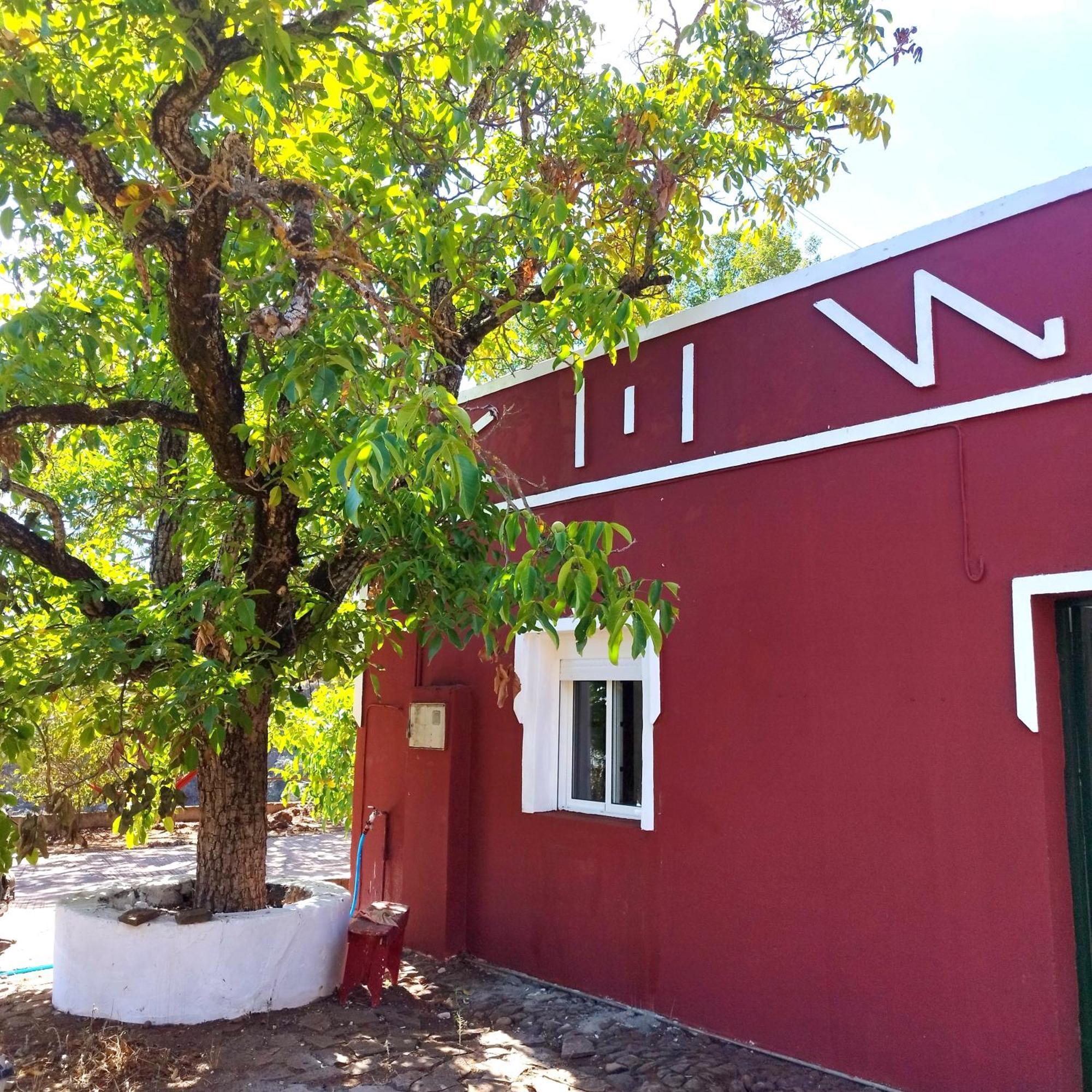 La Casita Hostel Vega de San Mateo Bagian luar foto